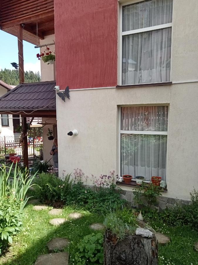 Hotel Casa Crisandri Buşteni Exteriér fotografie