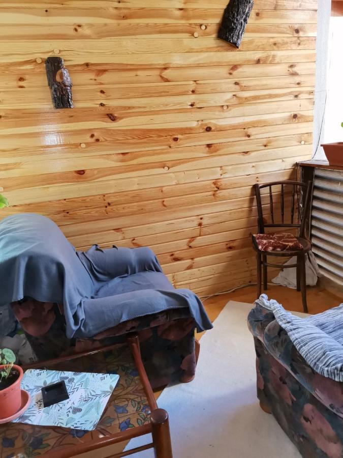 Hotel Casa Crisandri Buşteni Exteriér fotografie