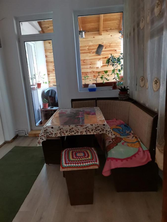Hotel Casa Crisandri Buşteni Exteriér fotografie